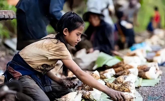 抑”国组团去老挝嫖连大使馆都看不下去了pg电子免费试玩模拟器东亚第一“性压(图1)